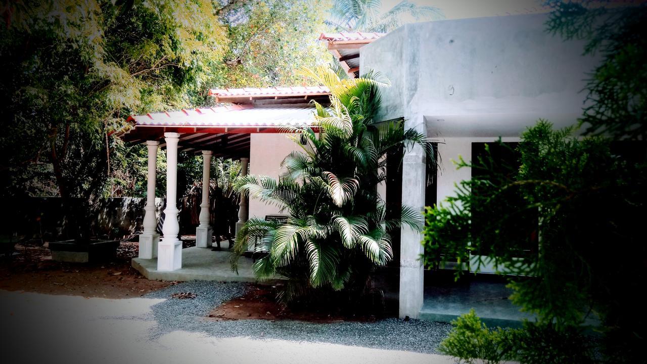 אודוואלאווה Induwara Safari Resort מראה חיצוני תמונה