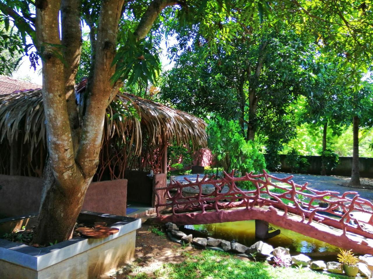 אודוואלאווה Induwara Safari Resort מראה חיצוני תמונה